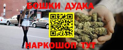 spice Кингисепп