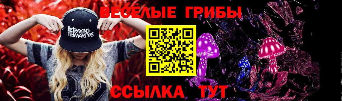 Галлюциногенные грибы MAGIC MUSHROOMS Корсаков