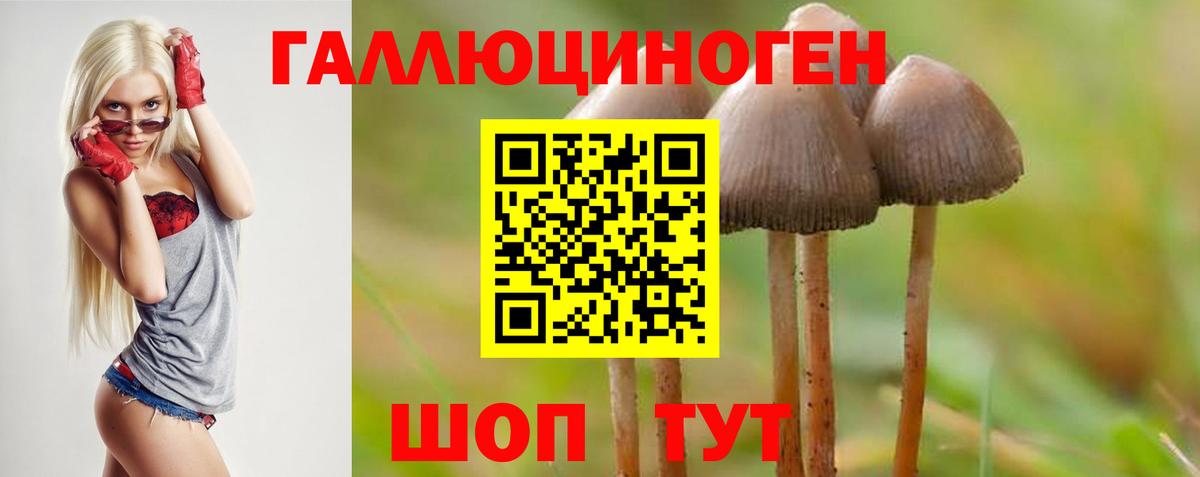 Псилоцибиновые грибы GOLDEN TEACHER  Вход с VPN  Корсаков 